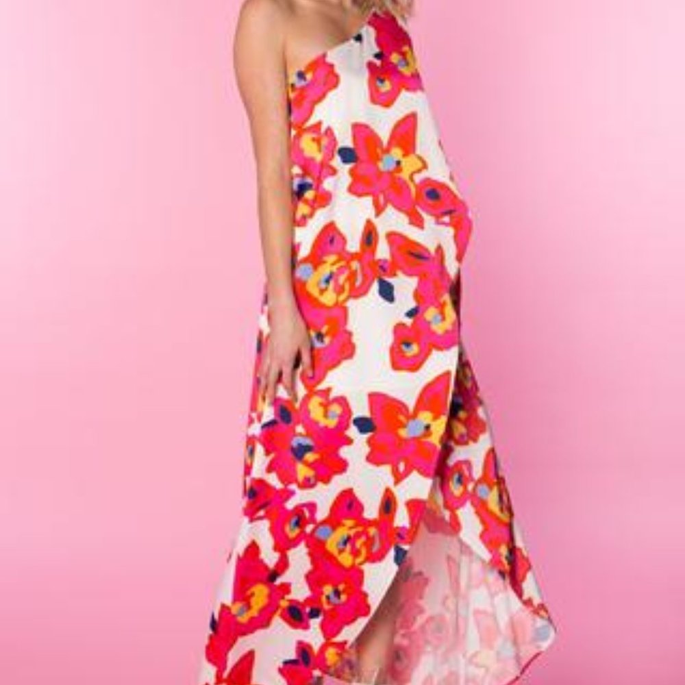 Crosby by Mollie Burch one shoulder dress midi